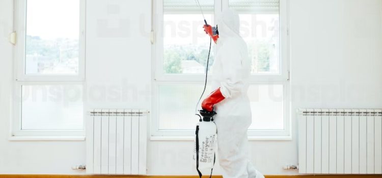 Comment se débarrasser efficacement des cafards 